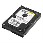 Caviar SE16 3.5 In. 320GB SATA Hard Drive WD3200AAKS - Western Digital