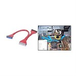 Round Floppy Cable, 34-pin, 3 Conn., 24in, Red - Ziotek