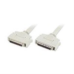 Scsi-2 50m To Scsi-2 50m, 6ft - Ziotek