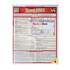 Word 2003 Quick Study Guide