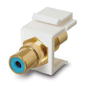 RCA Coupler Keystone Insert Jack, Blue / Gold - Universal