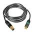 Lightsnake Mic To USB Cable, 10 Ft.