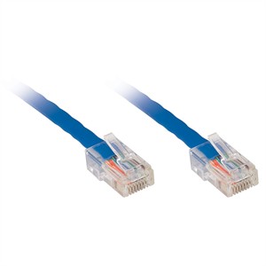 1ft CAT6 Non-Booted Network Patch Cable, UTP, Blue ZT1197284 - Ziotek