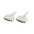 6ft. SCSI-2 To SCSI-2 50M Cable ZT1272270