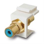 RCA Coupler Keystone Insert Jack, Blue / Gold - Universal