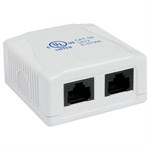 External RJ45 Cat5e Wall Jack Double ZT1800405 - Ziotek